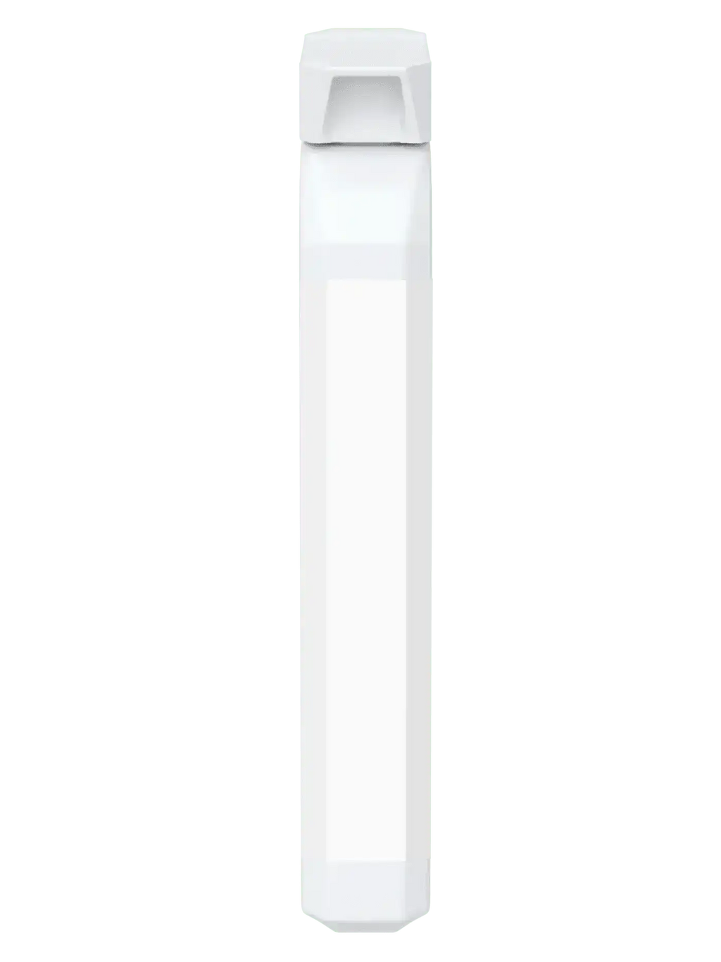 BioBodyBoost Vegan Probiotic - 20 Billion Live Cultures