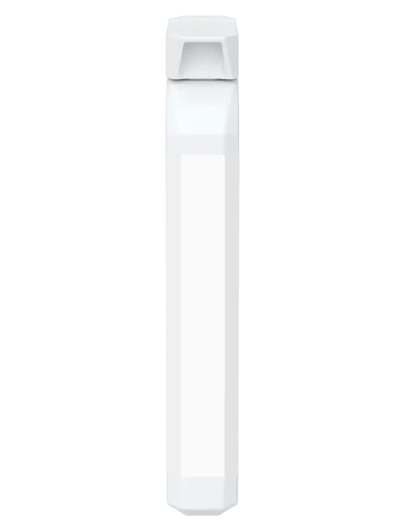 BioBodyBoost Vegan Probiotic - 20 Billion Live Cultures
